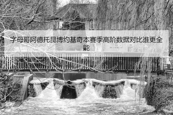 字母哥阿德托昆博约基奇本赛季高阶数据对比谁更全能